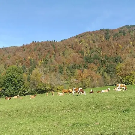 Apatmaji Pika 2 Cerklje na Gorenjskem