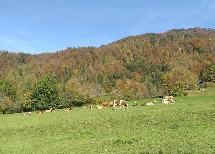 Apatmaji Pika 2 Cerklje na Gorenjskem